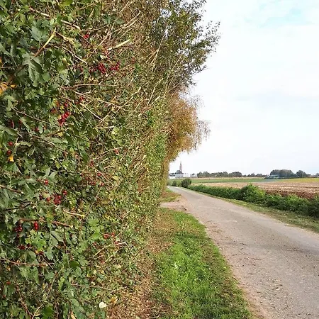 Aux Sens Caches Meteren